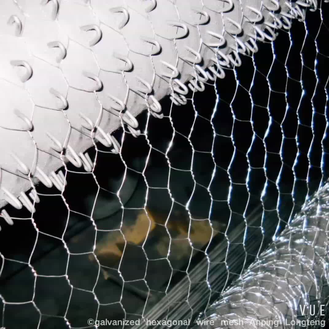 Hexagonal Wire Mesh