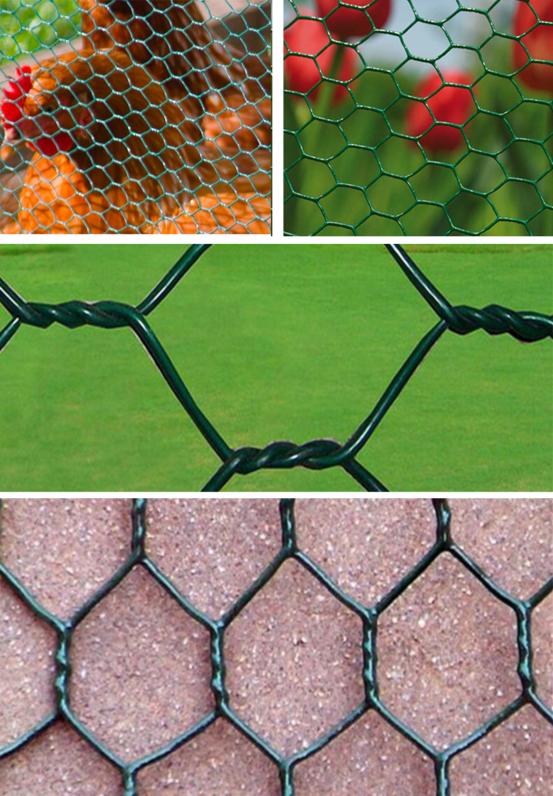 Chicken PVC Coated Hexogonal Green Wire Netting